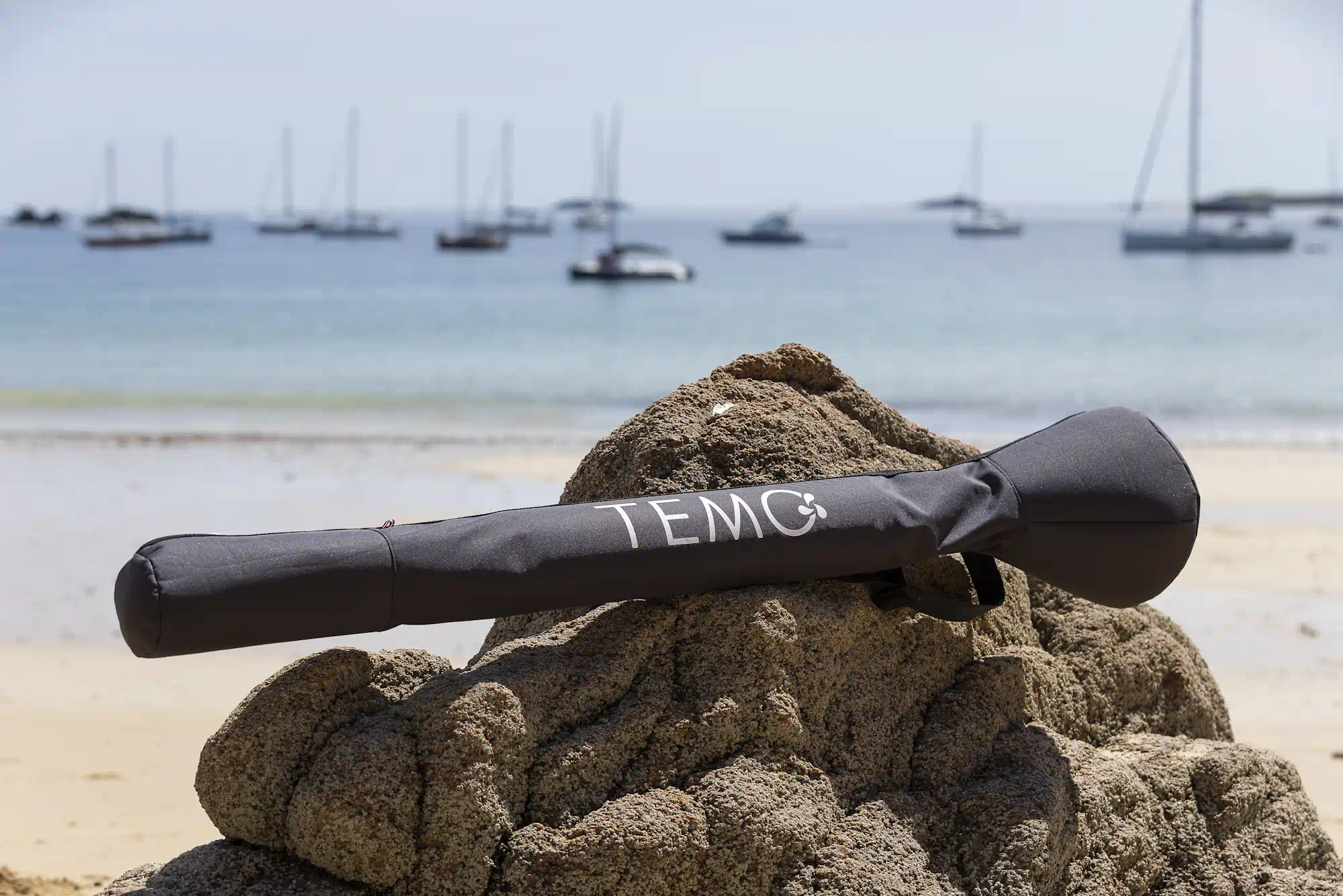 Sac de transport pour TEMO·450 - Image 3